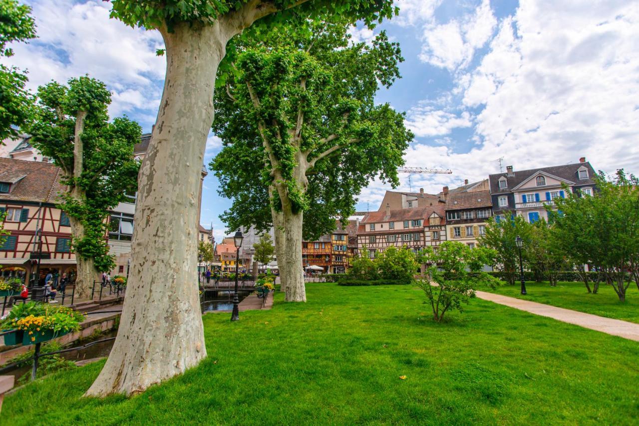 Le Rapp - Centre Historique - Wifi - Tout Confort Appartement Colmar Buitenkant foto