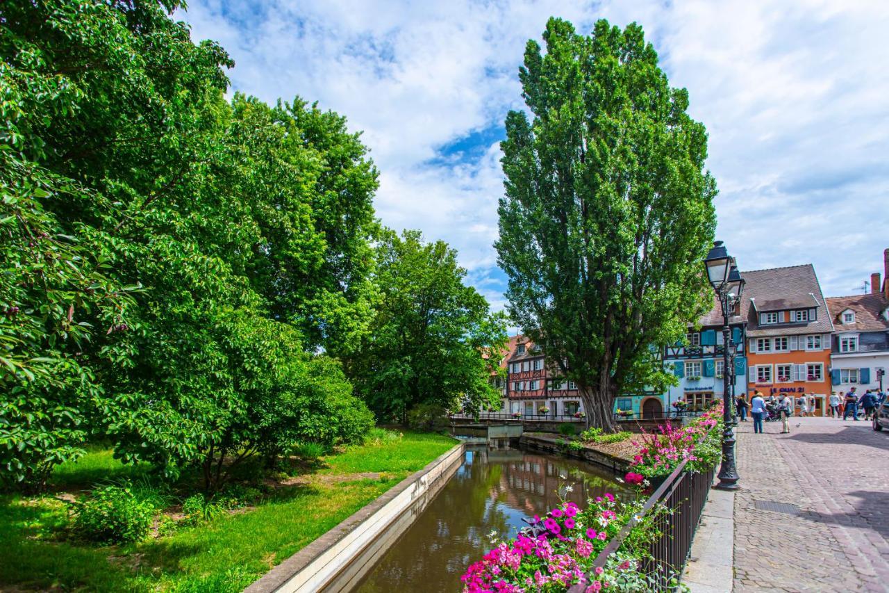 Le Rapp - Centre Historique - Wifi - Tout Confort Appartement Colmar Buitenkant foto